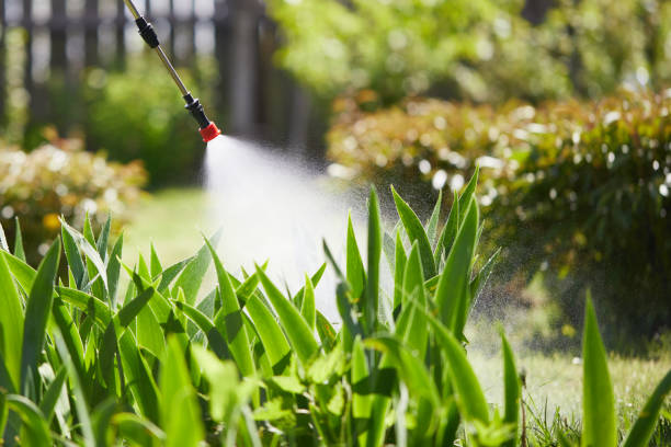 Tamper-Resistant Bait Stations for Rodents in Biggs