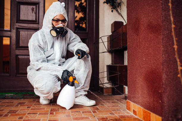 Attic and Crawl Space Rodent Treatment in Biggs